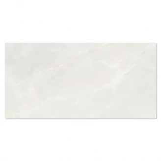Klinker Selene Ljusgrå Blank-Polerad Rak 60x120 cm